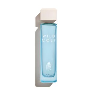 Assaf Wild Colt